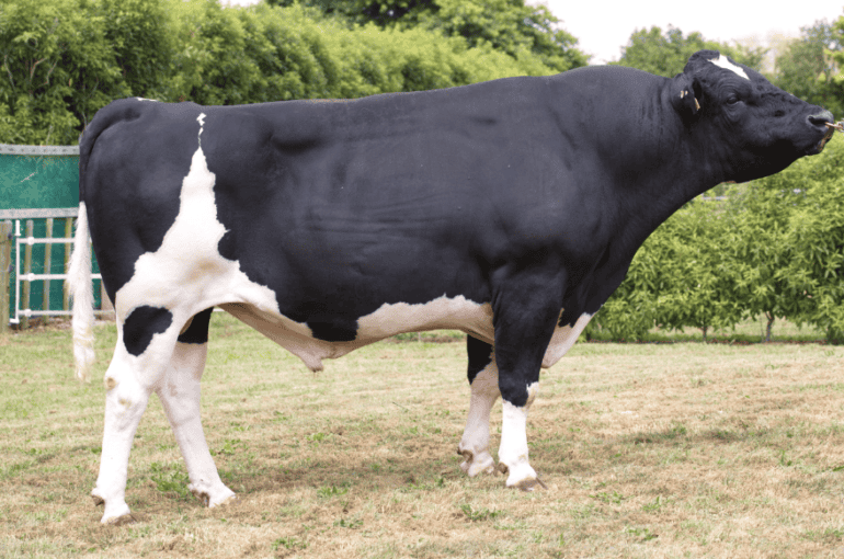 Tronnoco MH Samba-ET S2F