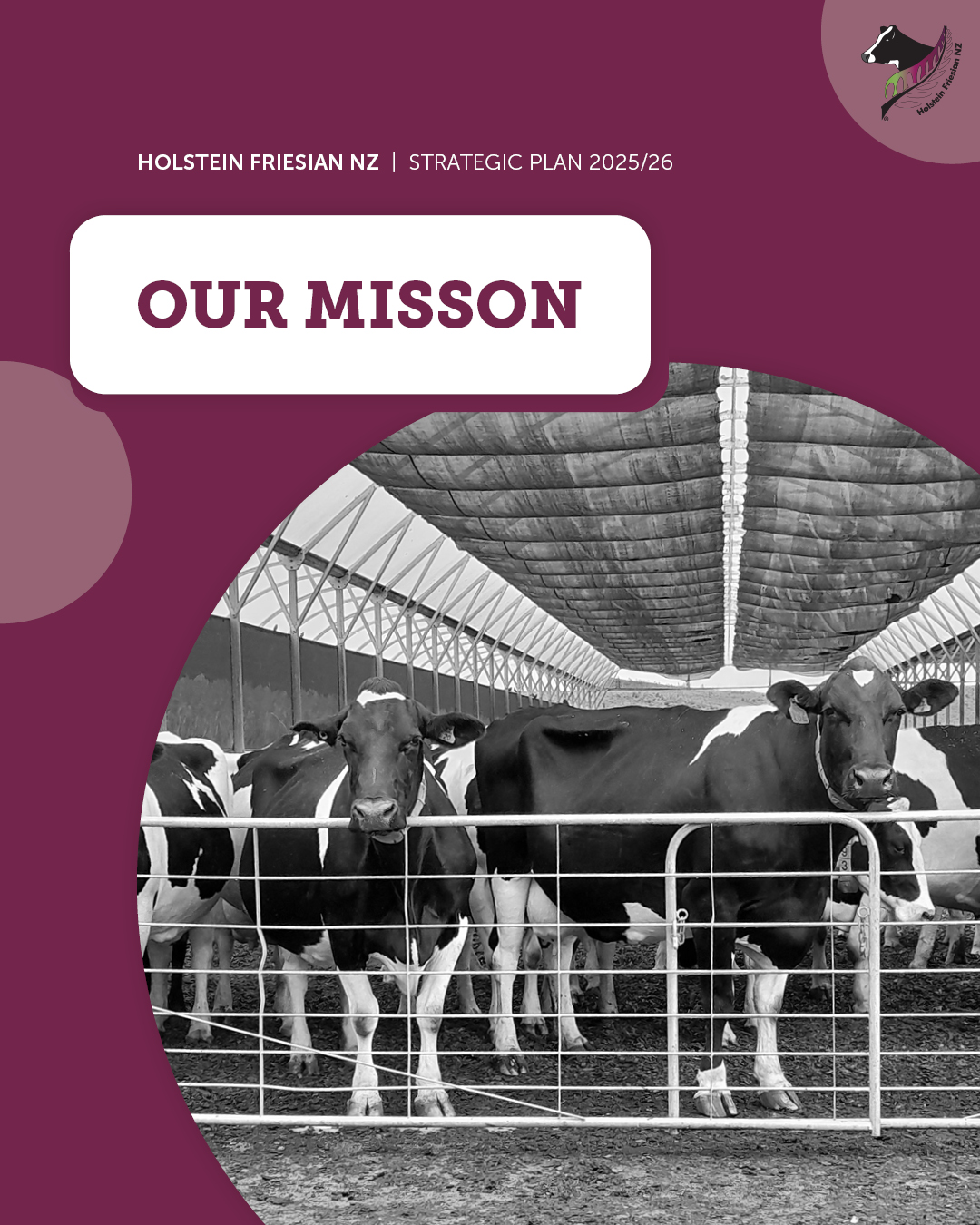 2025-26-Strategic-Plan-1.3-Our-Misson-1