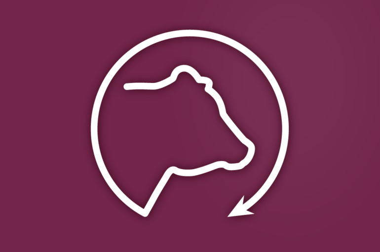 Bull Update Feature Image