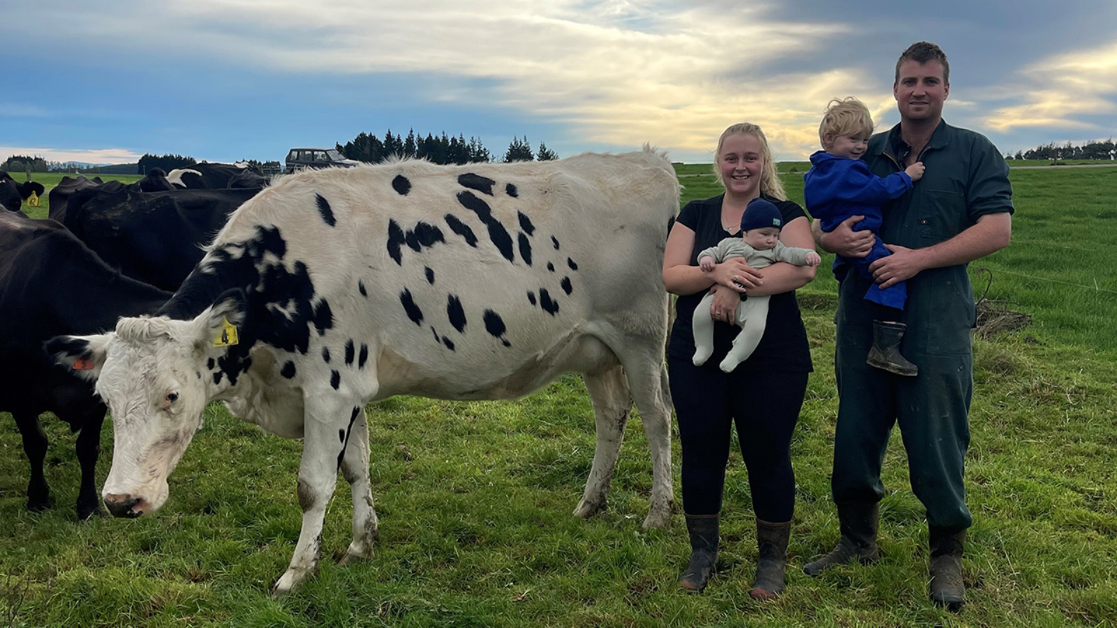 THe business of big milk