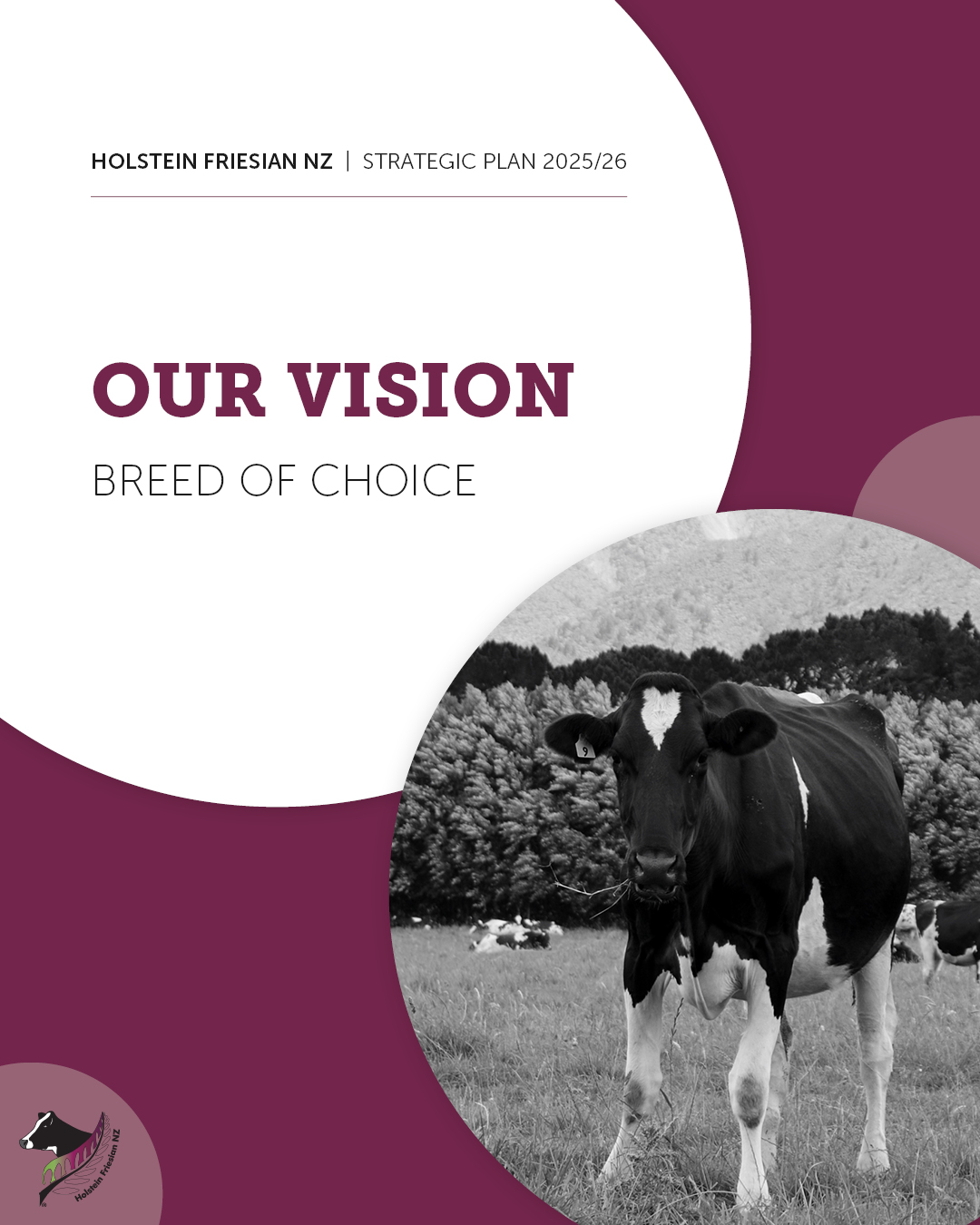 2025-26 Strategic Plan 1.1 - Our Vision Full