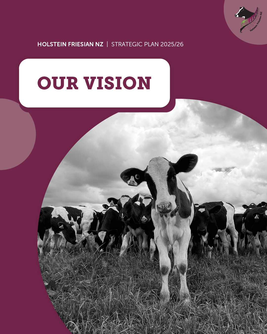 2025-26 Strategic Plan 1.1 - Our Vision