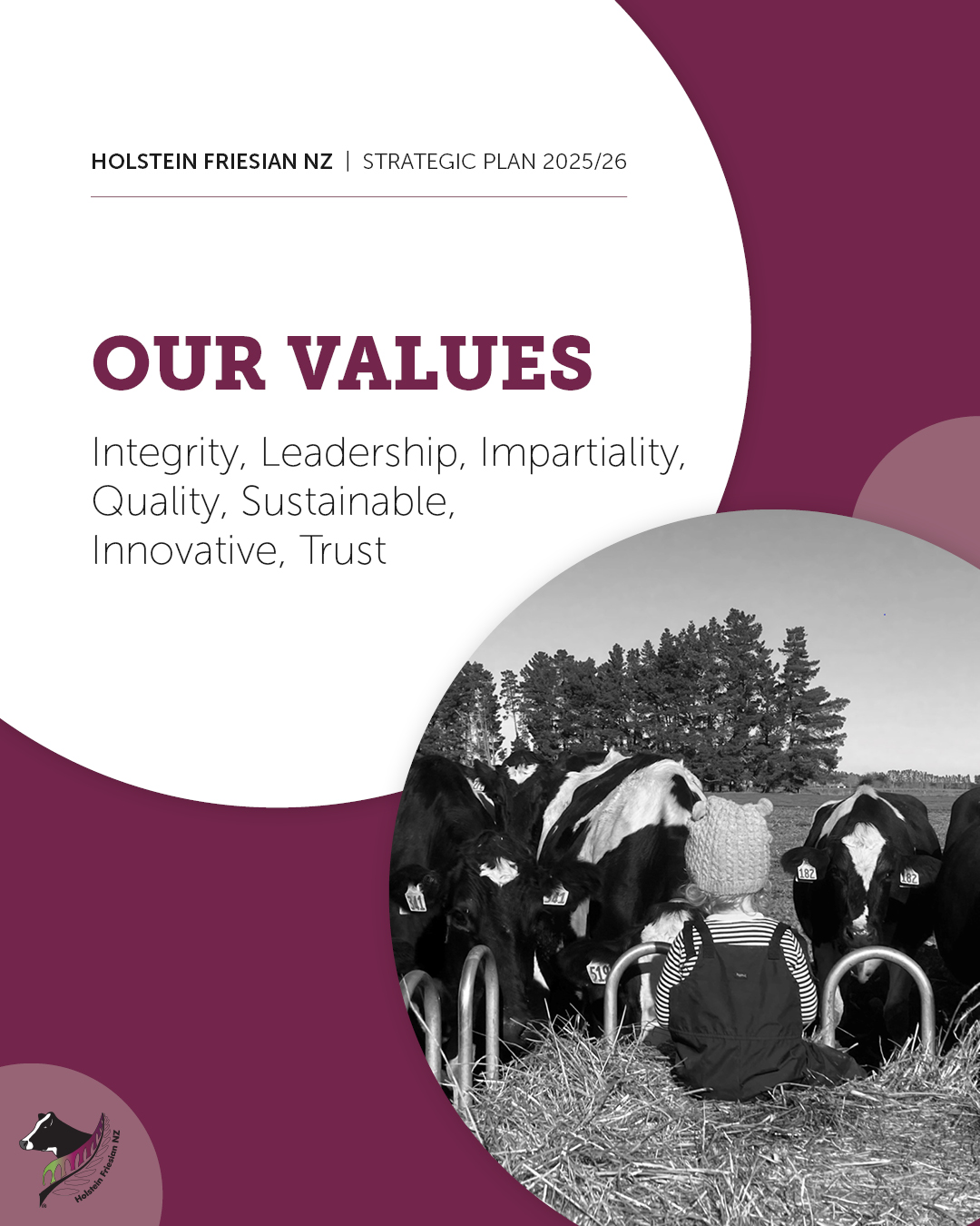 2025-26 Strategic Plan 1.2 - Our Values Full