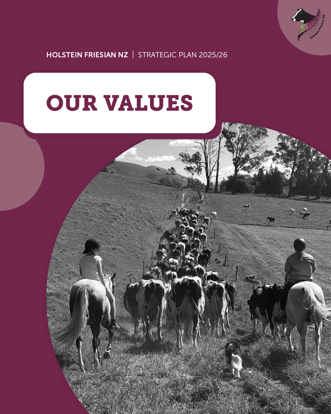 2025-26 Strategic Plan 1.2 - Our Values