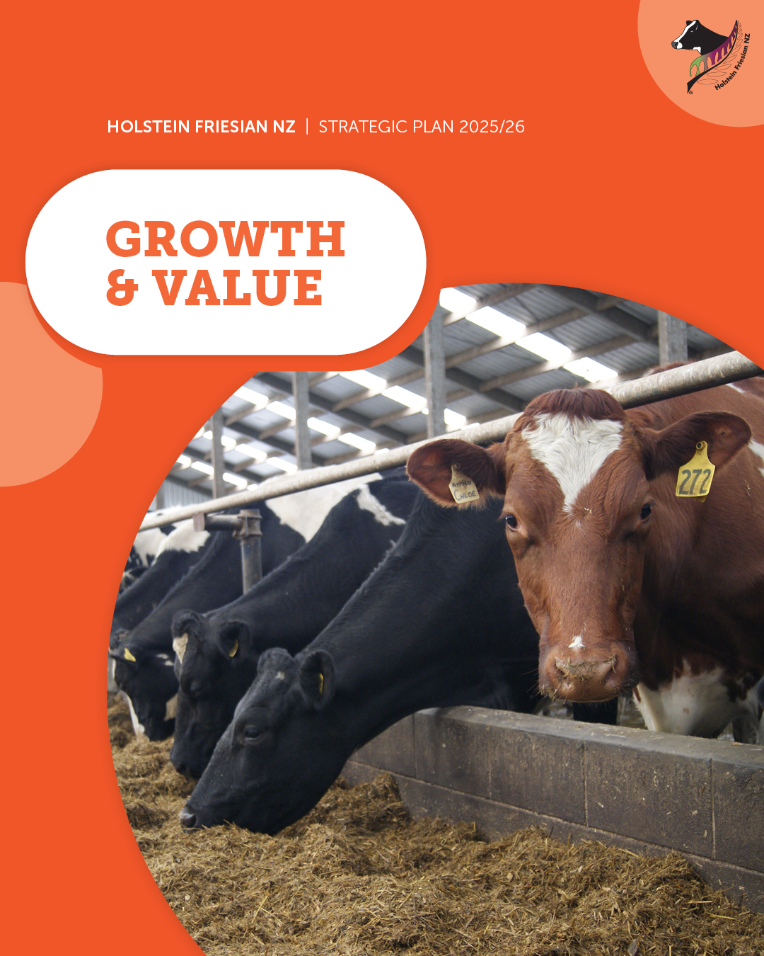 2025-26 Strategic Plan 2.5 - Growth & Value