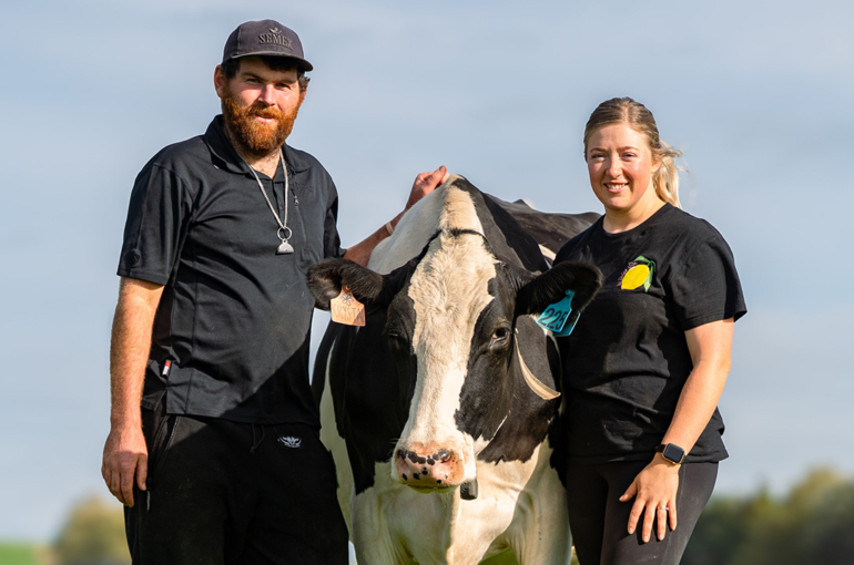 Profit and progression