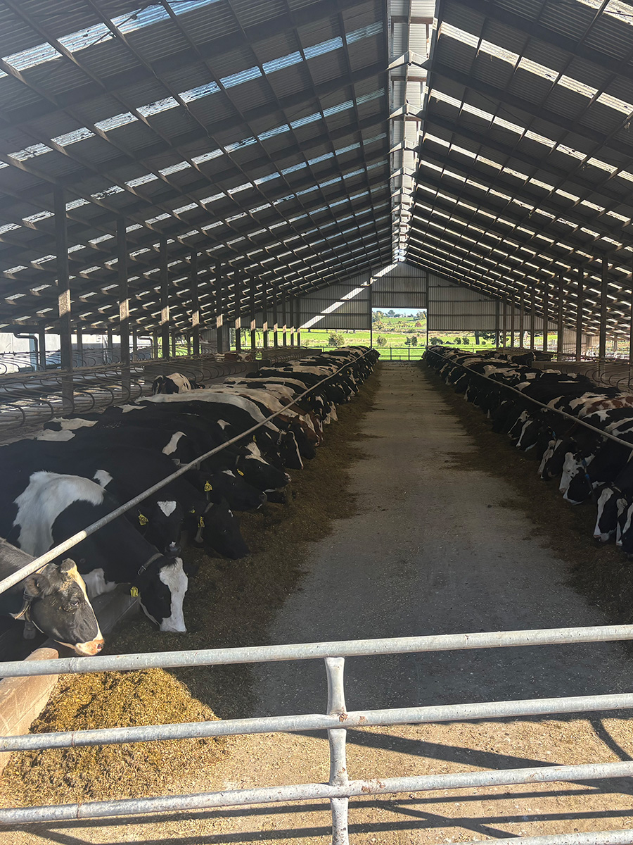 Inside Verwaayen's barn