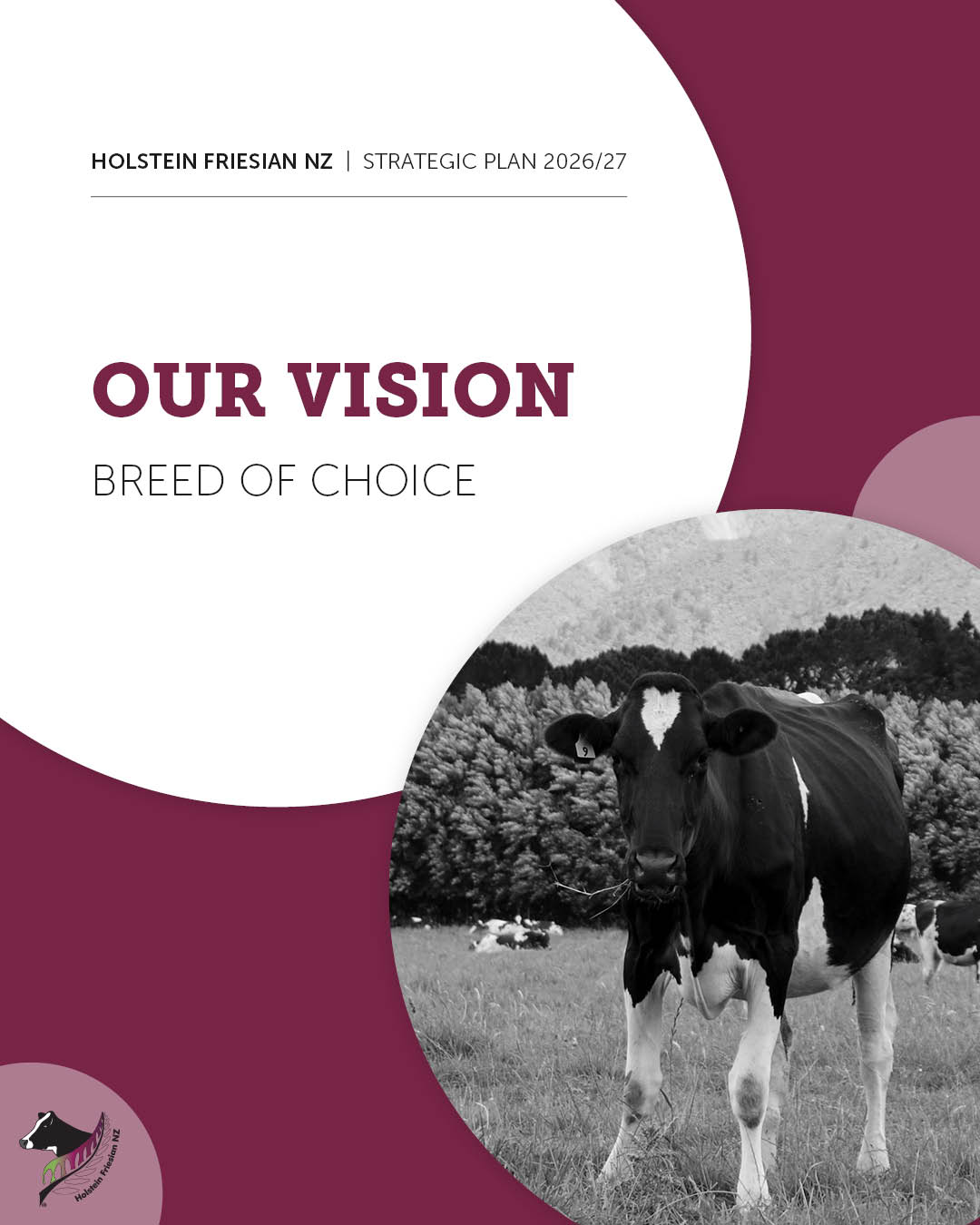 2026-27 Strategic Plan 1.1 - Our Vision Full