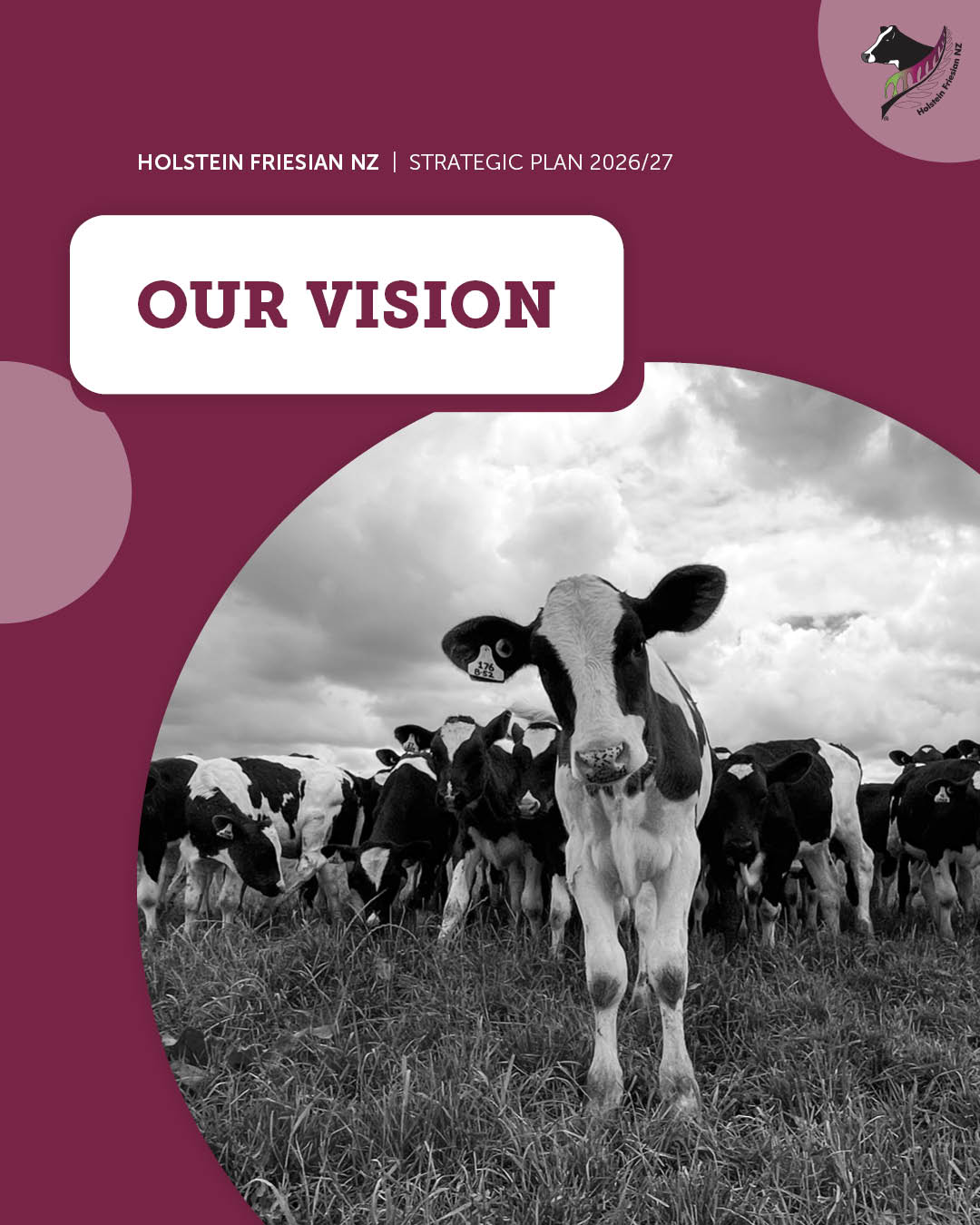 2026-27 Strategic Plan 1.1 - Our Vision