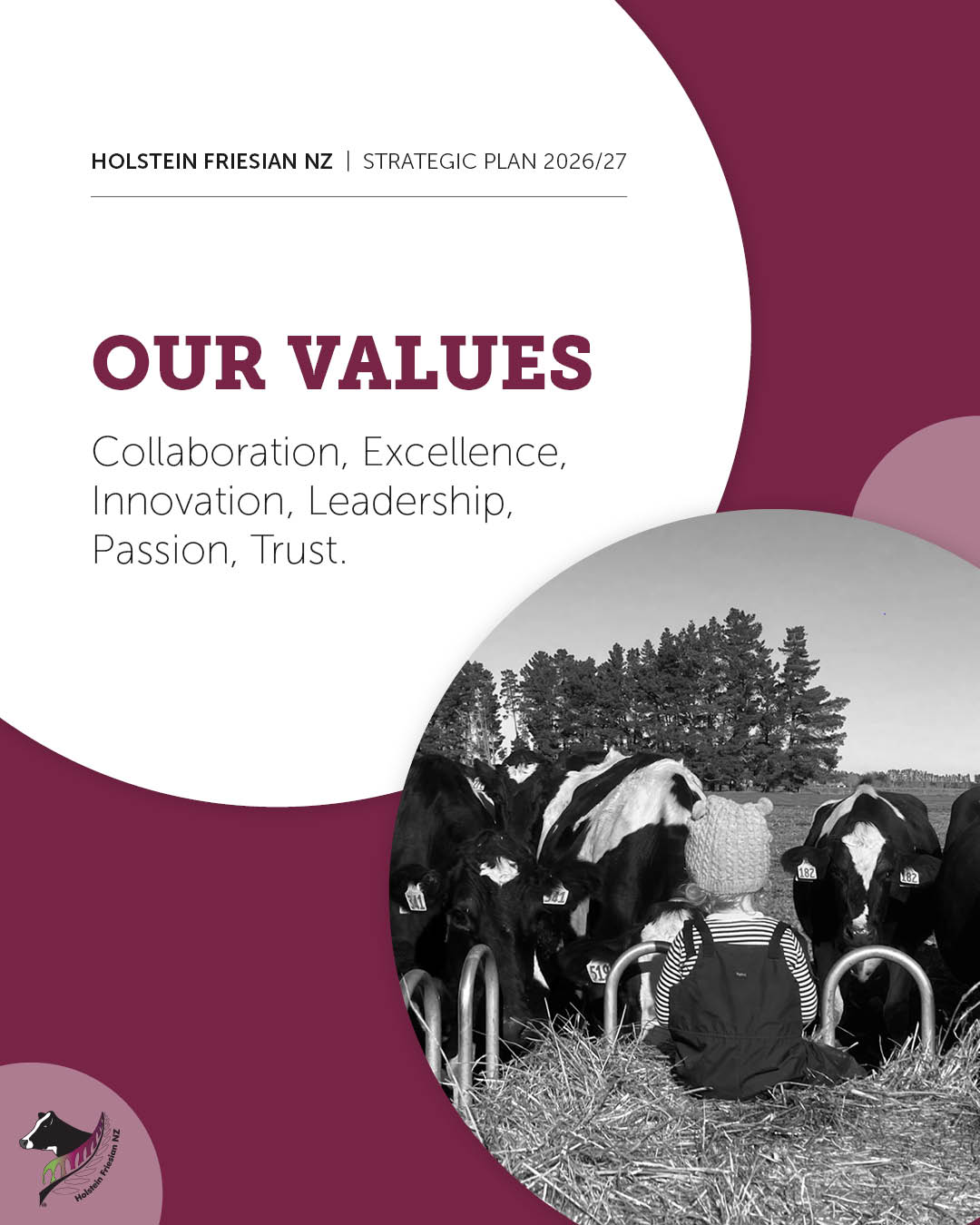 2026-27 Strategic Plan 1.2 - Our Values Full