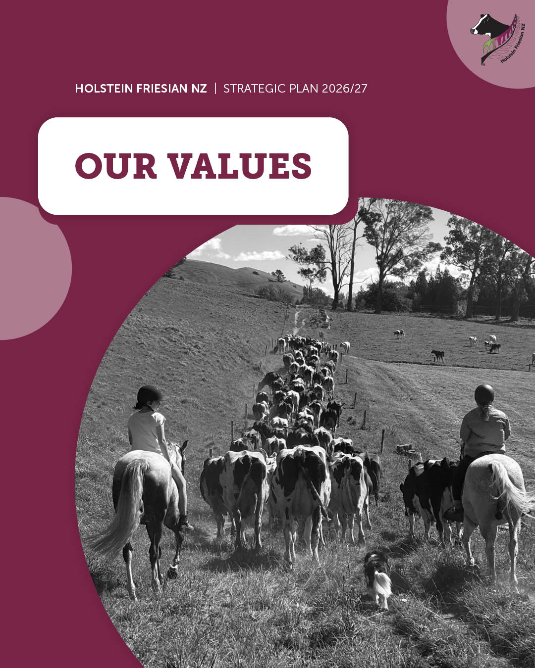 2026-27 Strategic Plan 1.2 - Our Values