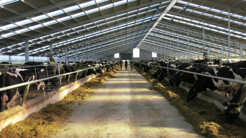 Flexibility and focus