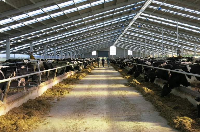 Flexibility and focus