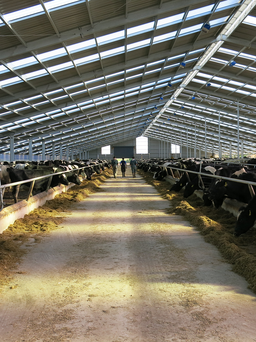 Inside Smithy's barn