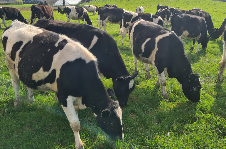 Three generations, one vision