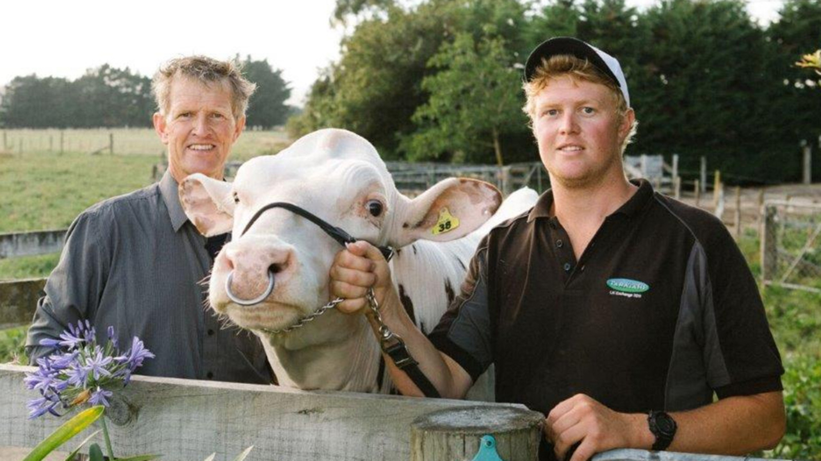 Genomic testing helps fast-track genetic gain