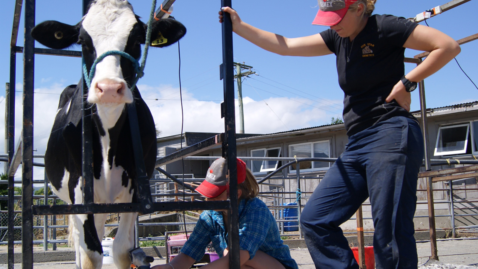 Taranaki to host National All Dairy Breeds Youth Camp