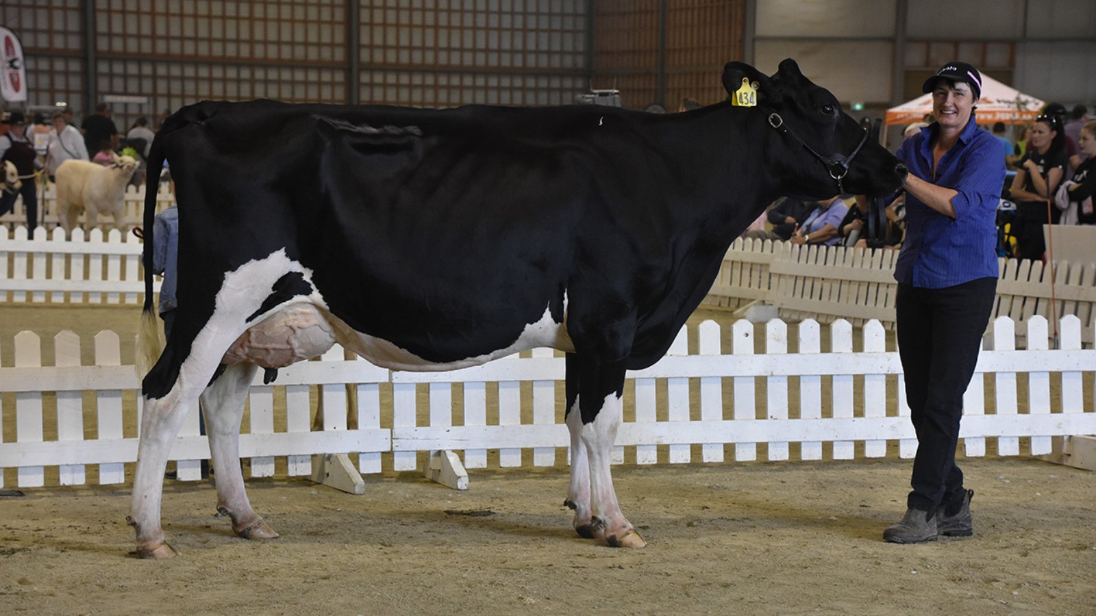 Tararua Impression Roxy and Hazel Schroder