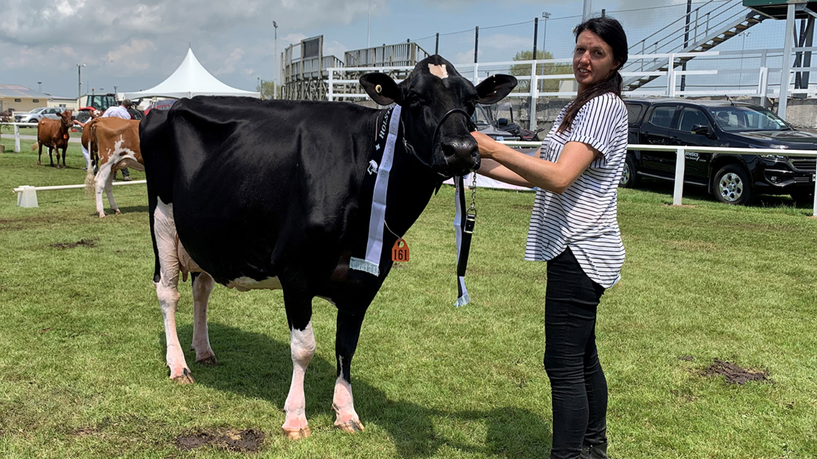 Makuri Gold Amber-ET EX2 and Joanne Dorn in the show ring at the Stratford Show