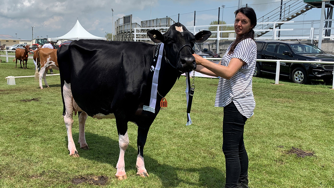 Makuri Gold Amber-ET EX2 and Joanne Dorn in the show ring at the Stratford Show Makuri Gold Amber-ET EX2 and Joanne Dorn in the show ring at the Stratford Show