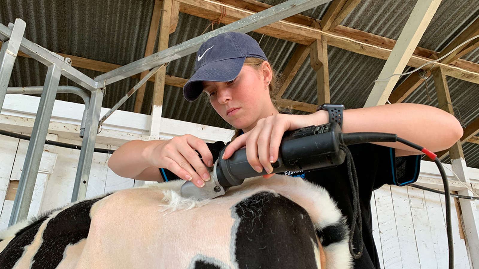 University study on hold for young breeder during lockdown