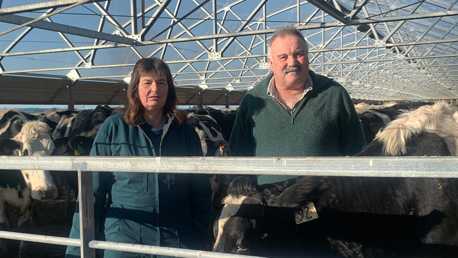 Raymac Holsteins clinch Valden Cow of the Year