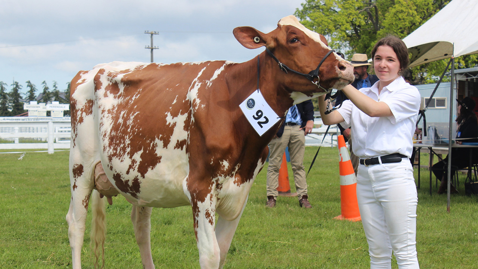 Holstein Friesian NZ Black & White Youth builds foundation for future breeders