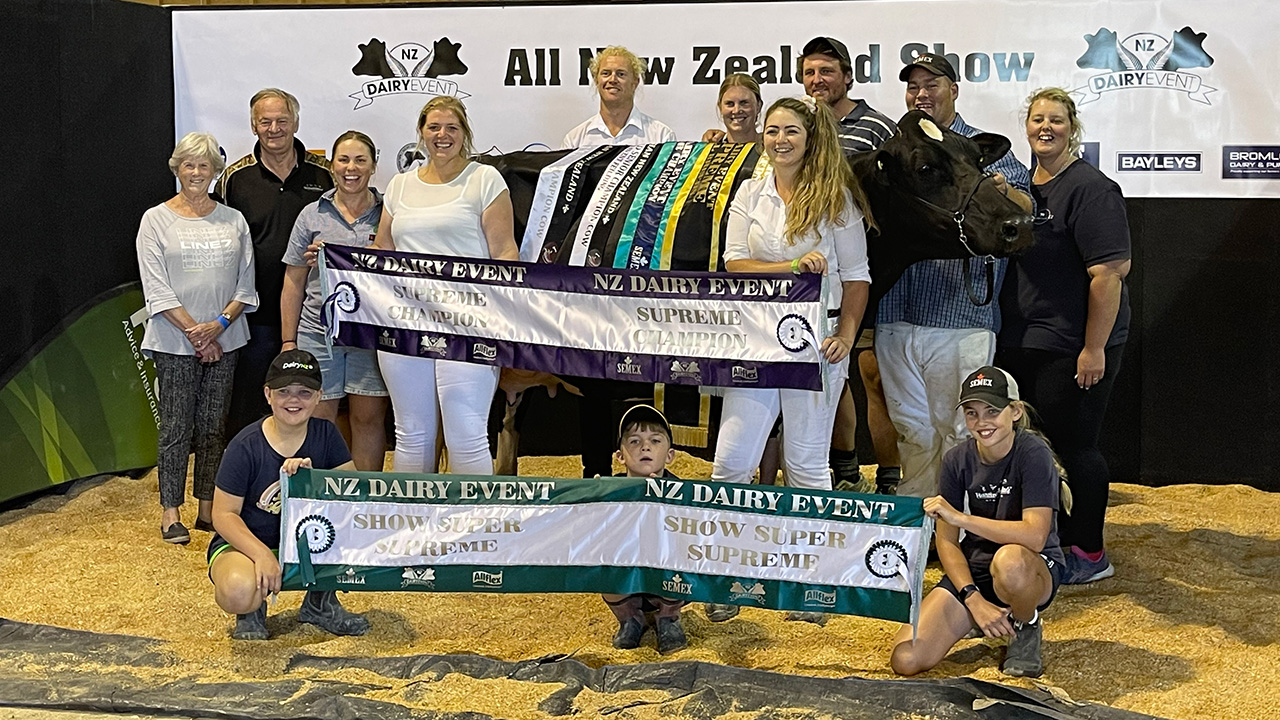 Holstein Friesian Supreme Champion Joyclas Sammy Moo S3F EX Holstein Friesian Supreme Champion Joyclas Sammy Moo S3F EX