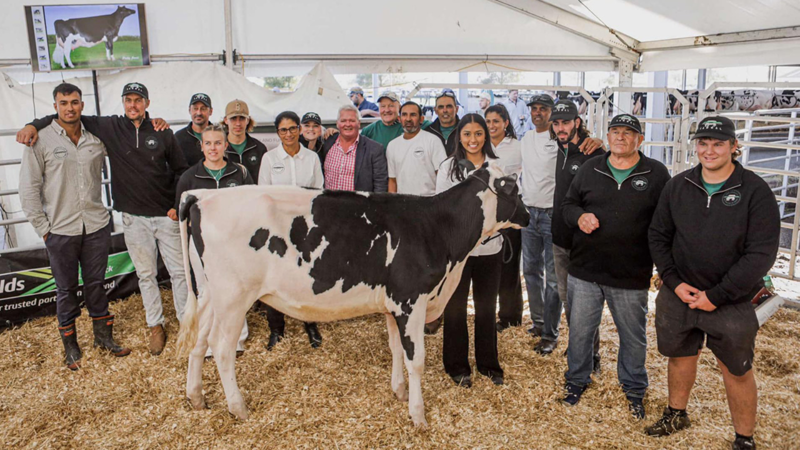 Lawwal Holstein 'The Legacy' team with Lawwal Lambda Loana-ET