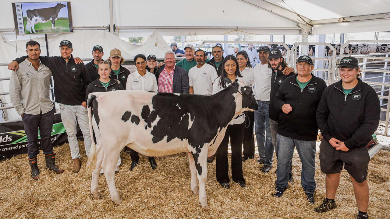 Lawwal Holstein ‘The Legacy’ team with Lawwal Lambda Loana-ET Lawwal Holstein 'The Legacy' team with Lawwal Lambda Loana-ET
