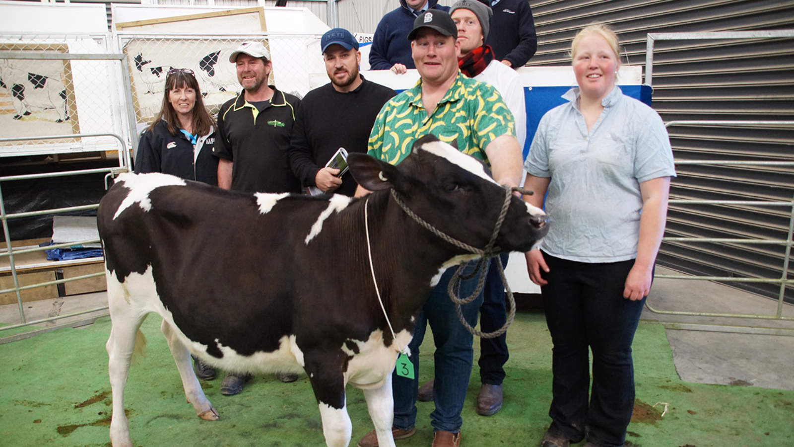 Top seller - Lightburn Octave Vela S3F