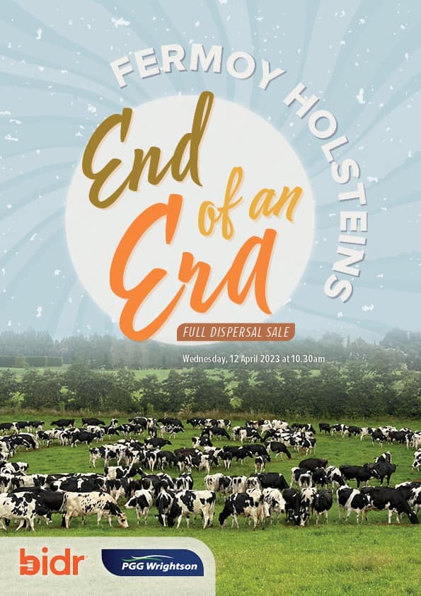 Fermoy Holsteins End of an Era Full Dispersal Sale 2023