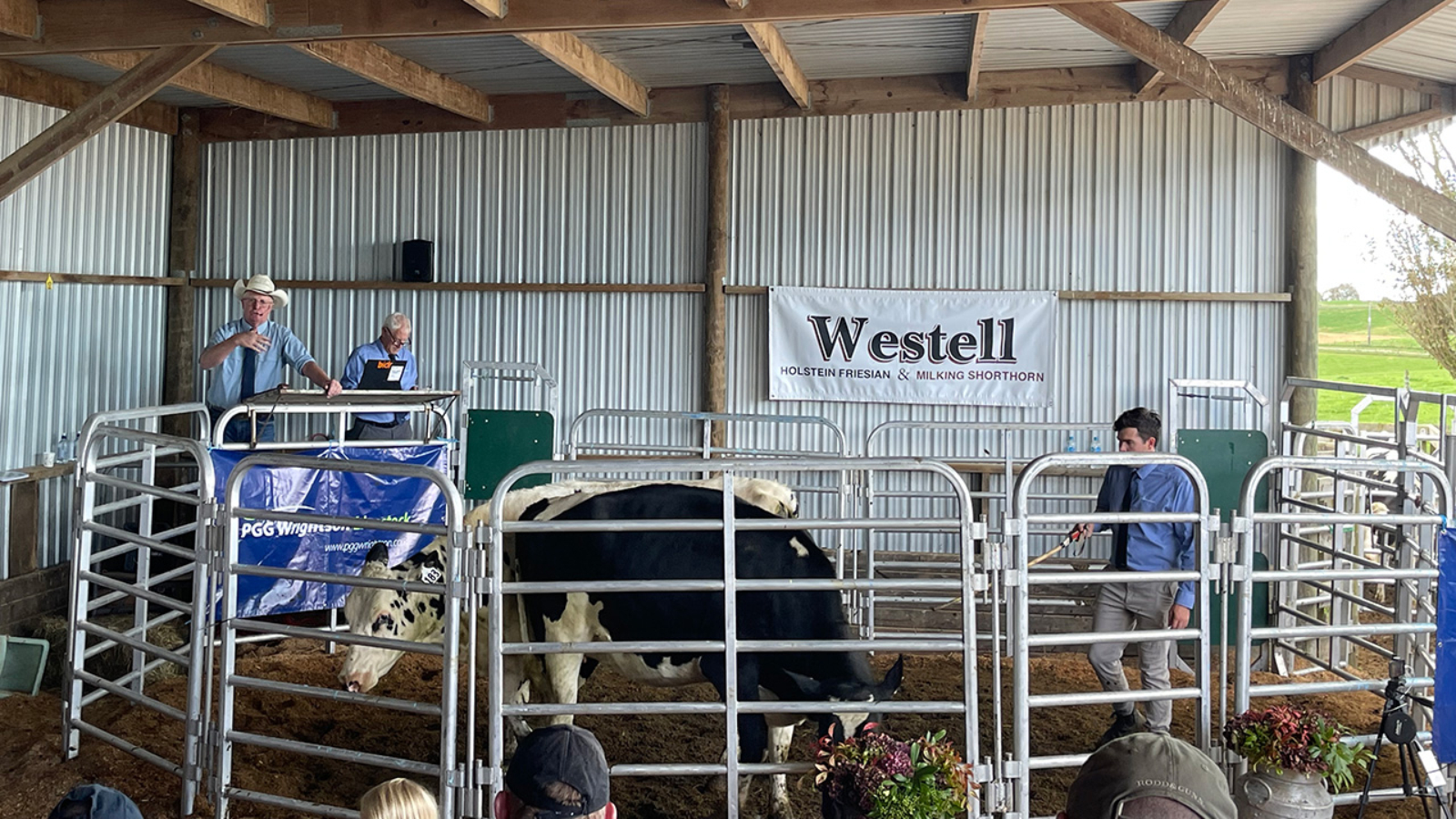 Fond farewell to breeders as Holstein Friesian sale season draws to a close