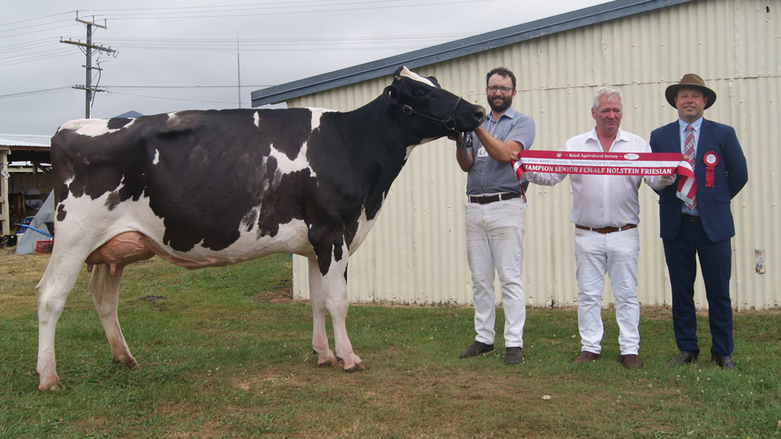 2024 Royal Show Holstein Friesian Champion Cow - Tahora Octane Love, Aislin Farms, Ohakune