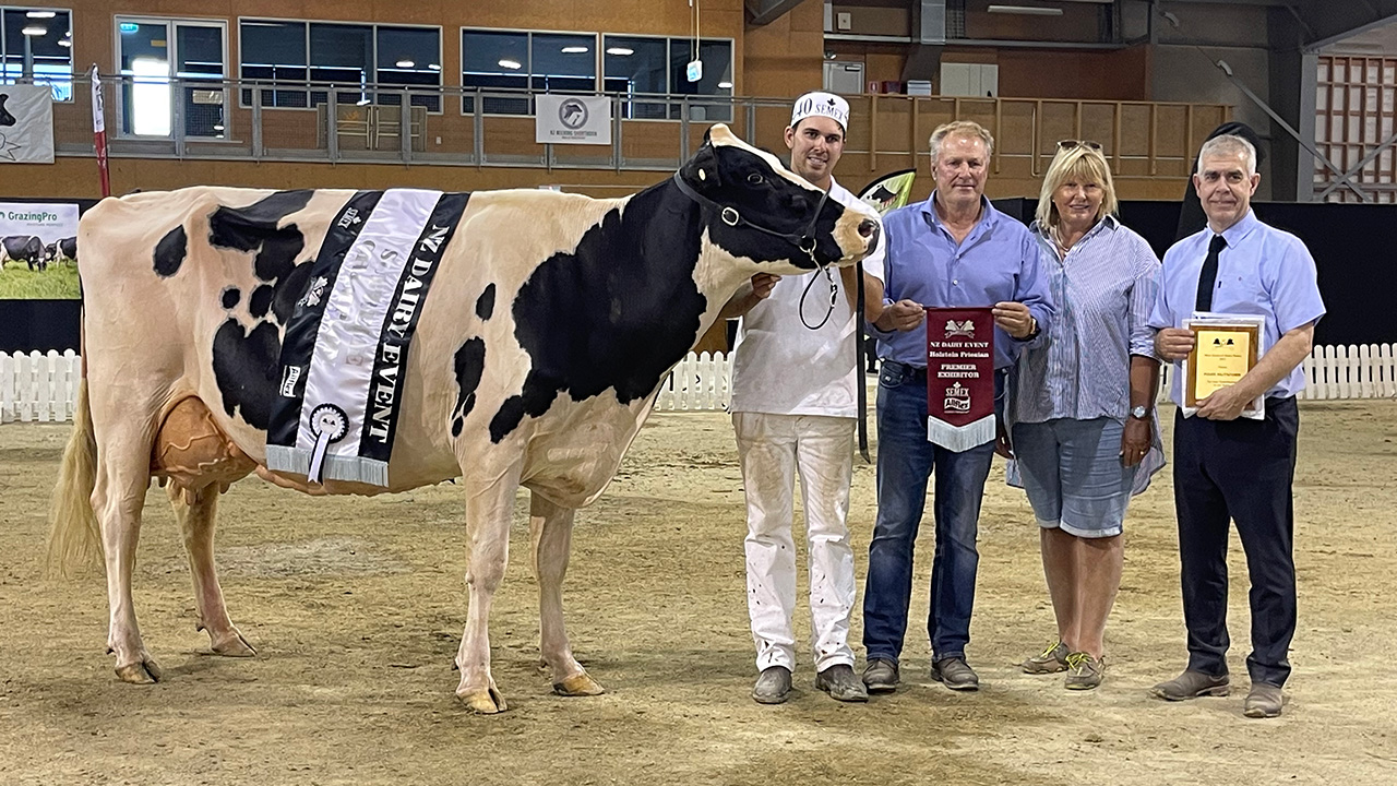 2023 Holstein Friesian Supreme Champion Waipiri Mogul Kristy 2023 Holstein Friesian Supreme Champion Waipiri Mogul Kristy