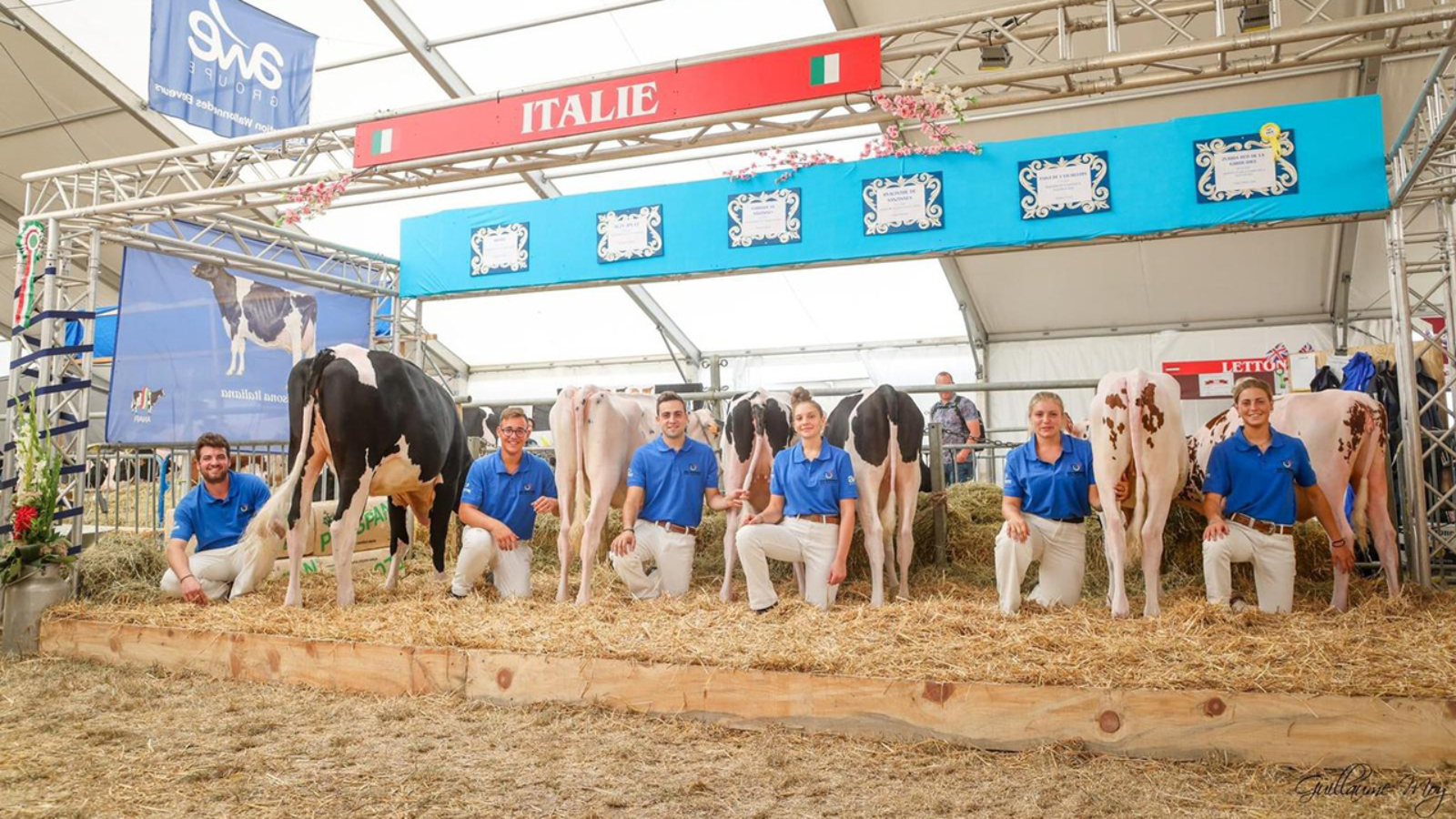 Dairy industry’s brightest youth Belgium-bound for Young Breeders School