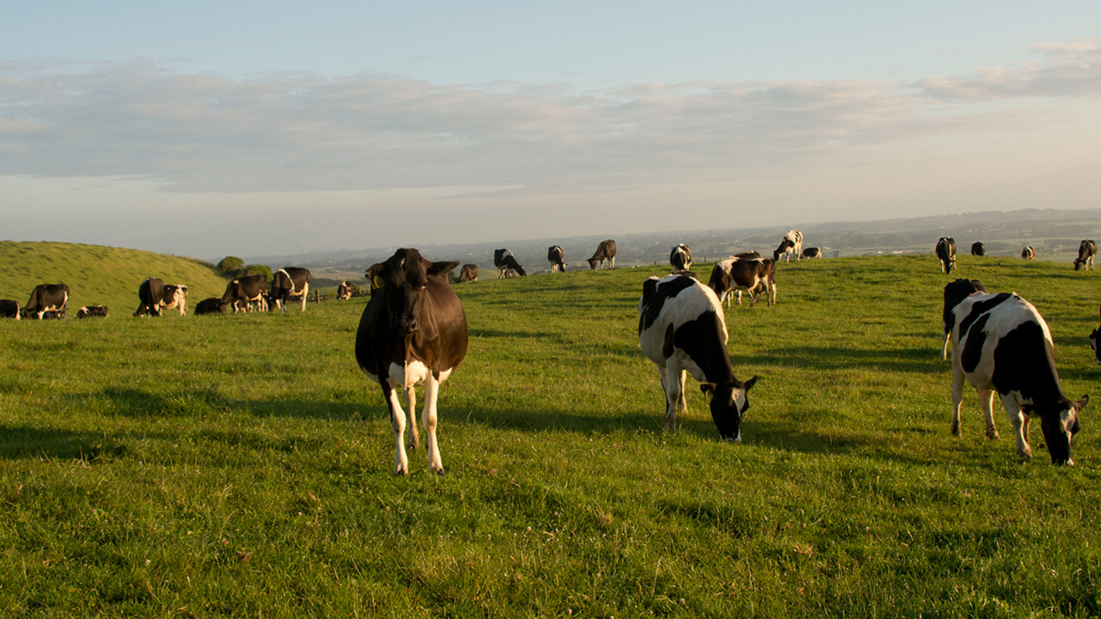 Governance training to shape future leaders
