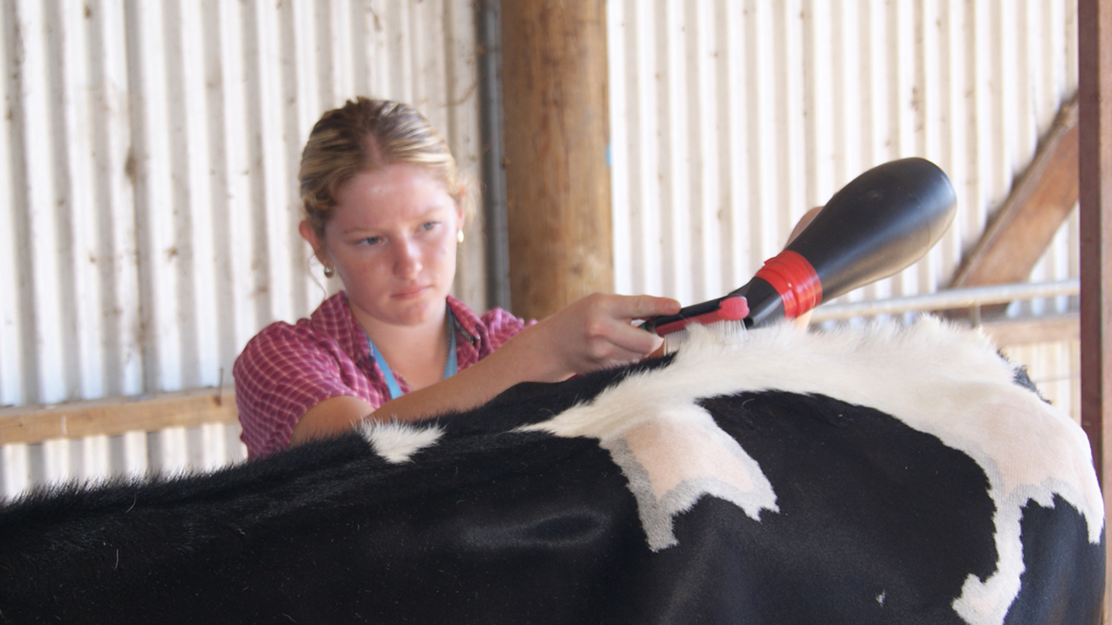 Growth and development rewarded at 2025 youth camp