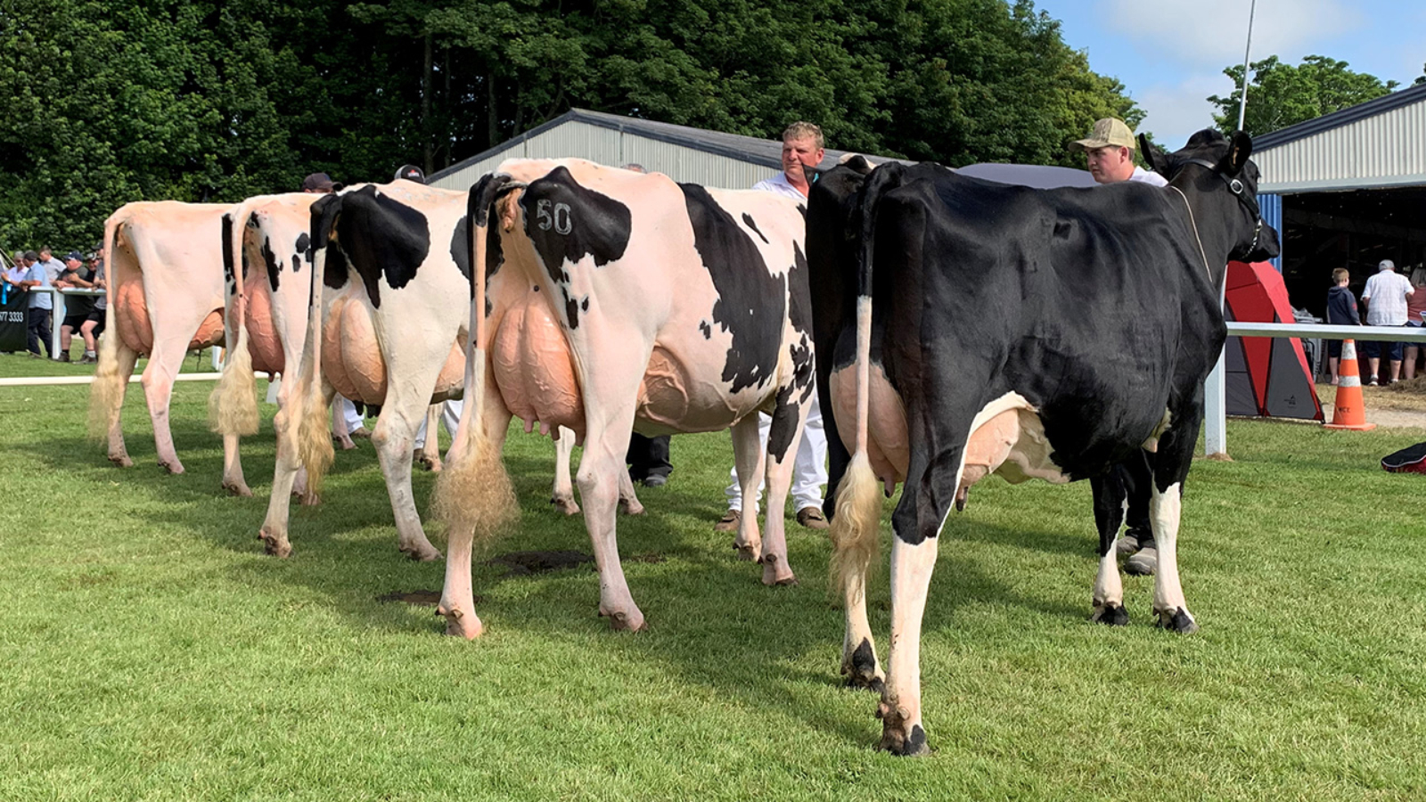 The Royal Agricultural & Pastoral Show of New Zealand is heading to Stratford!