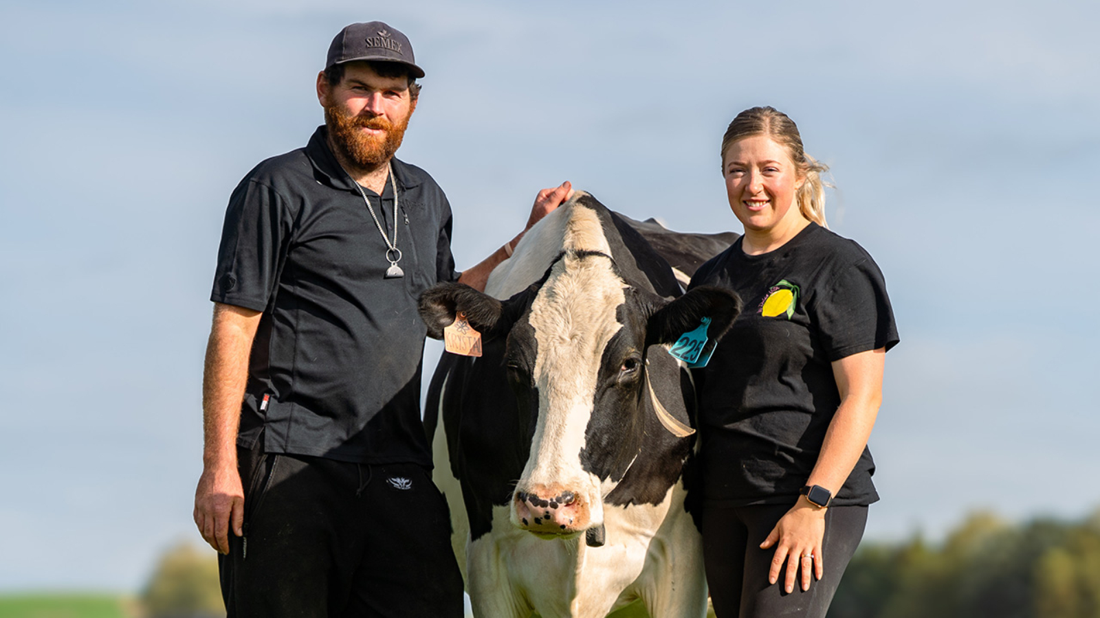 Profit and progression