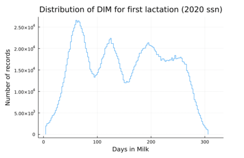 Distribution of DIM for first lactation Distribution of DIM for first lactation